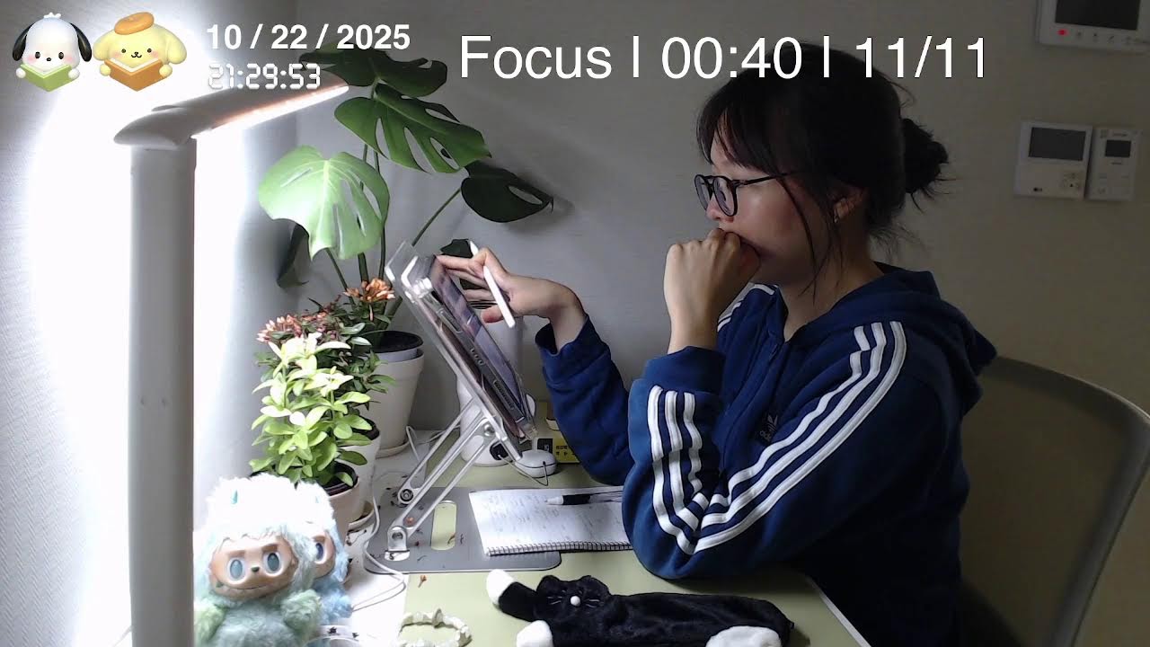 [25.10.22 수 ] 서울대생 Study with me |50/10 Pomodoro + 장작 asmr | CPA 회시생 | 시험기간 뿌셔!! 🔥