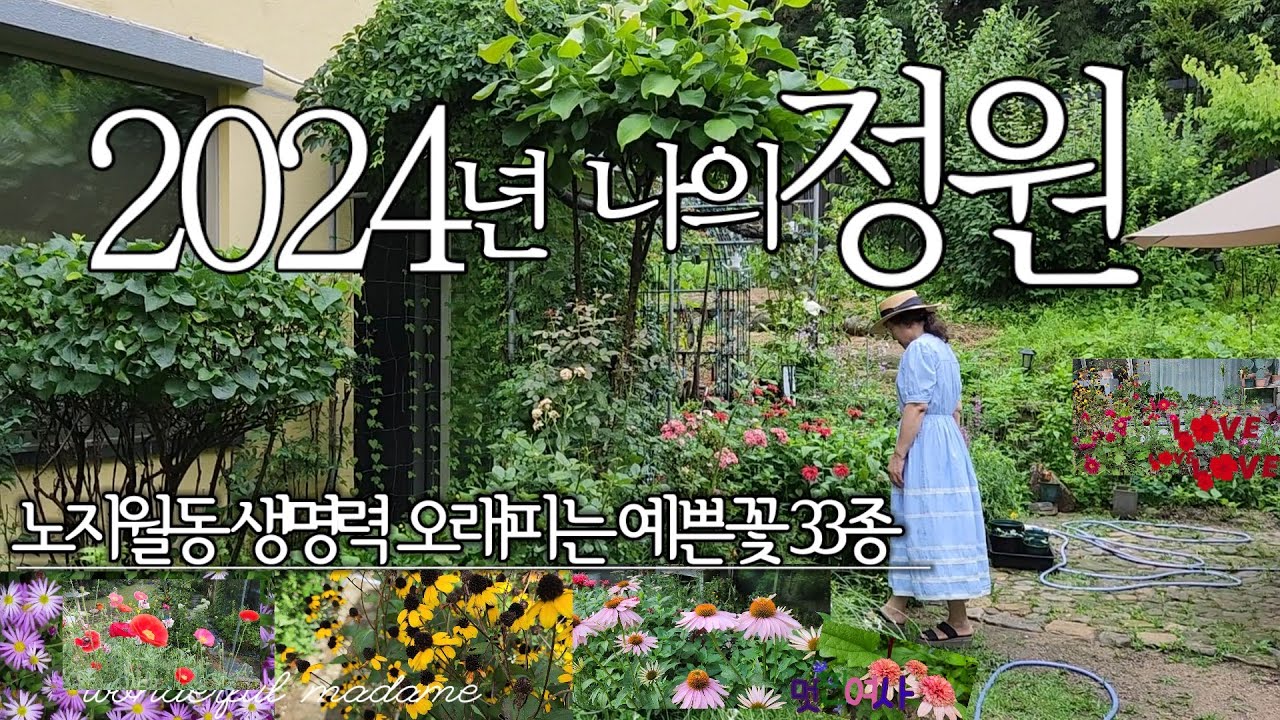 2024년,예쁘고 키우기쉽고 오래피는 다년생 야생화 33종/나의자연주의 정원/꽃 배치 방법소개