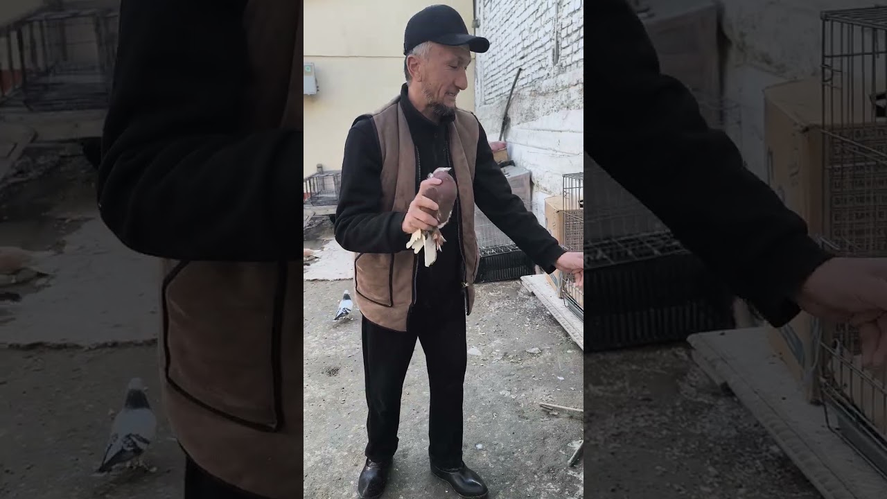 27 февраля 2026 г.