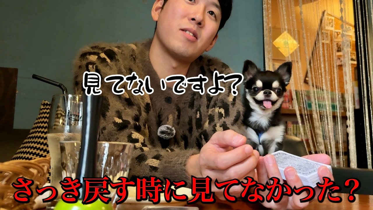カフェランチしてたらかわいいインチキマジシャン現れたww