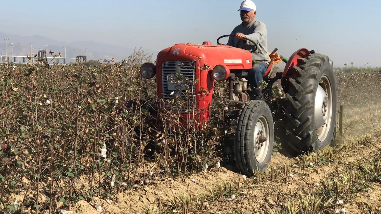 56 Yaşında Massey Ferguson X35 (Nam-ı Diğer Çarpılı Massey)