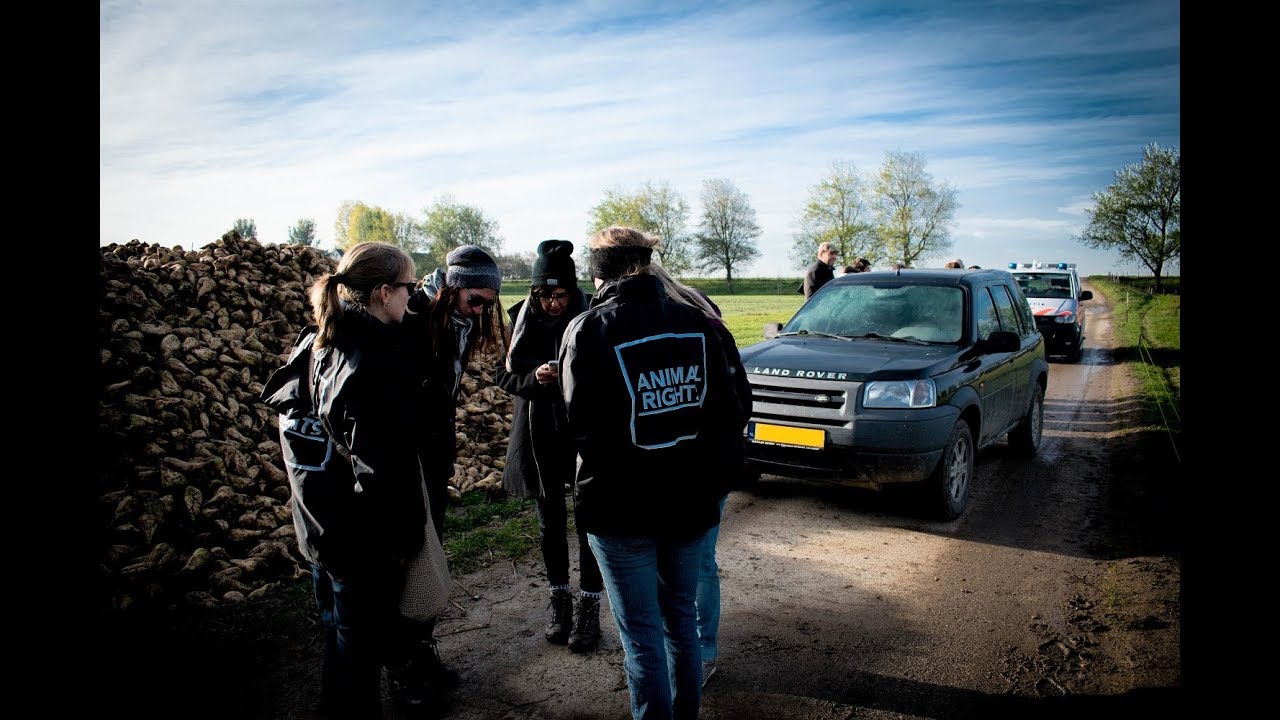Blokkeerjagers zetten activisten vast | Hunt Saboteurs | Animal Rights