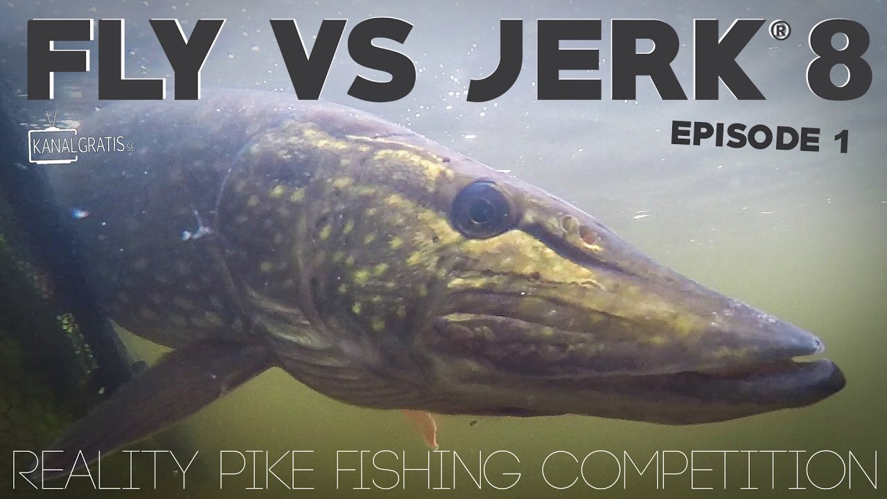 Fly vs Jerk 8 - EPISODE 1 - Kanalgratis.se (with German, French & Dutch subtitles)