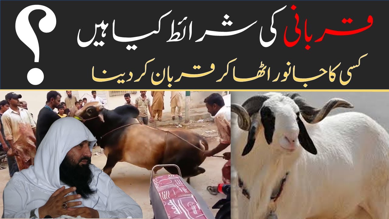 Qurbani ki Sharait | Mufti Abulhasan Mubashir Ahmad Rabbani | AlhasanIslamicCenter