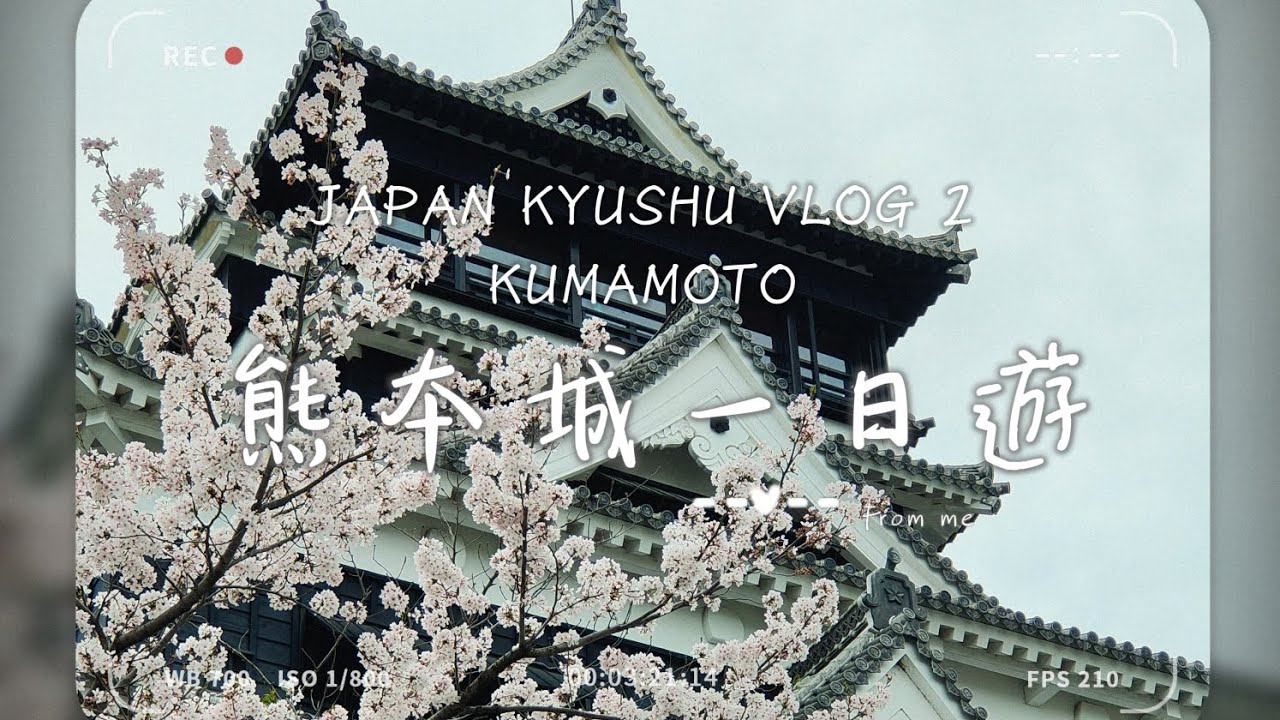 櫻花滿開之熊本城一日遊 JAPAN KYUSHU VLOG 2 | KUMAMOTO