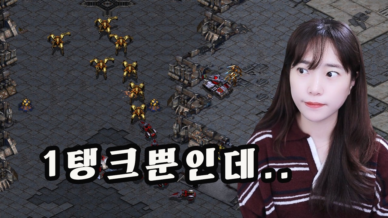 이타이밍이에 들어온다구?