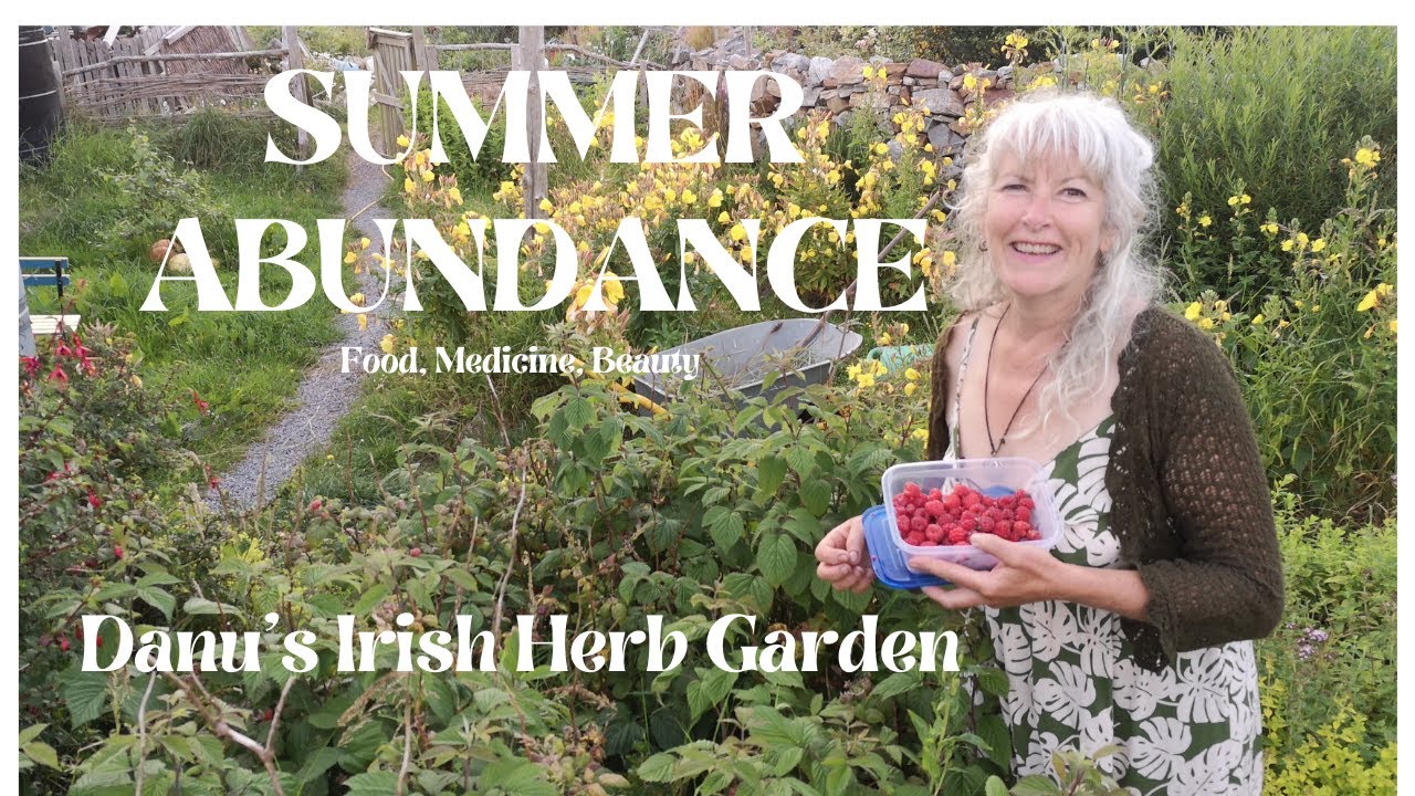 Summer Abundance