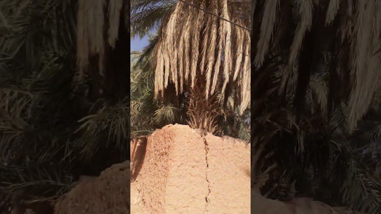جولة في عين بلبال