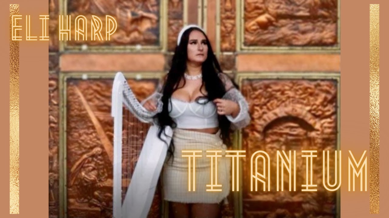 | TITANIUM |  DAVID GUETTA & SIA | HARP COVER |