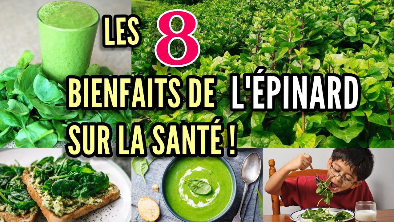 Les 8 bienfaits de l&rsquo;&eacute;pinard sur la sant&eacute;