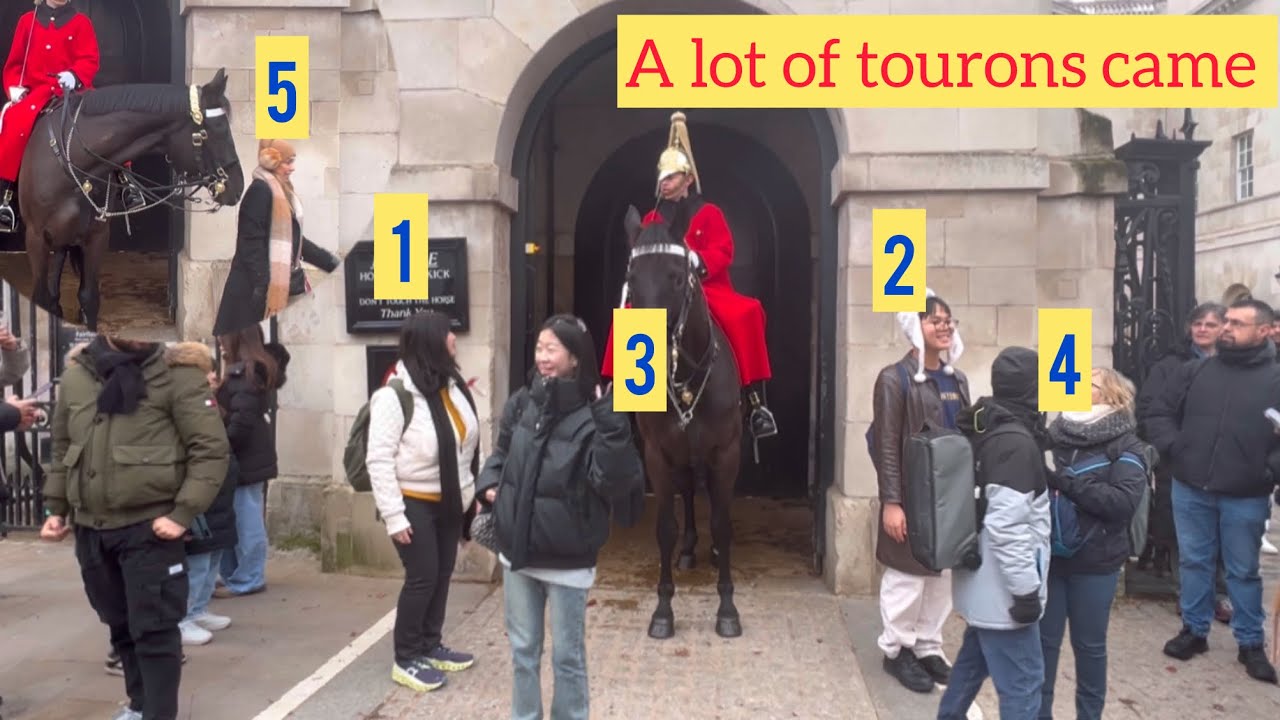 “Nonstop “The guard and his horse made five tourons get out of the box