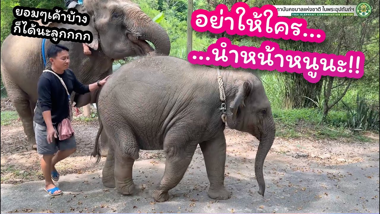 น้องมีนา เล่นน้ำช่วงหน้าร้อน 10 พฤษภาคม 2568