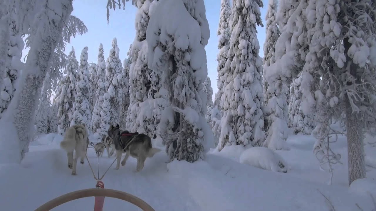 Salla - Lapland - Finland 2013