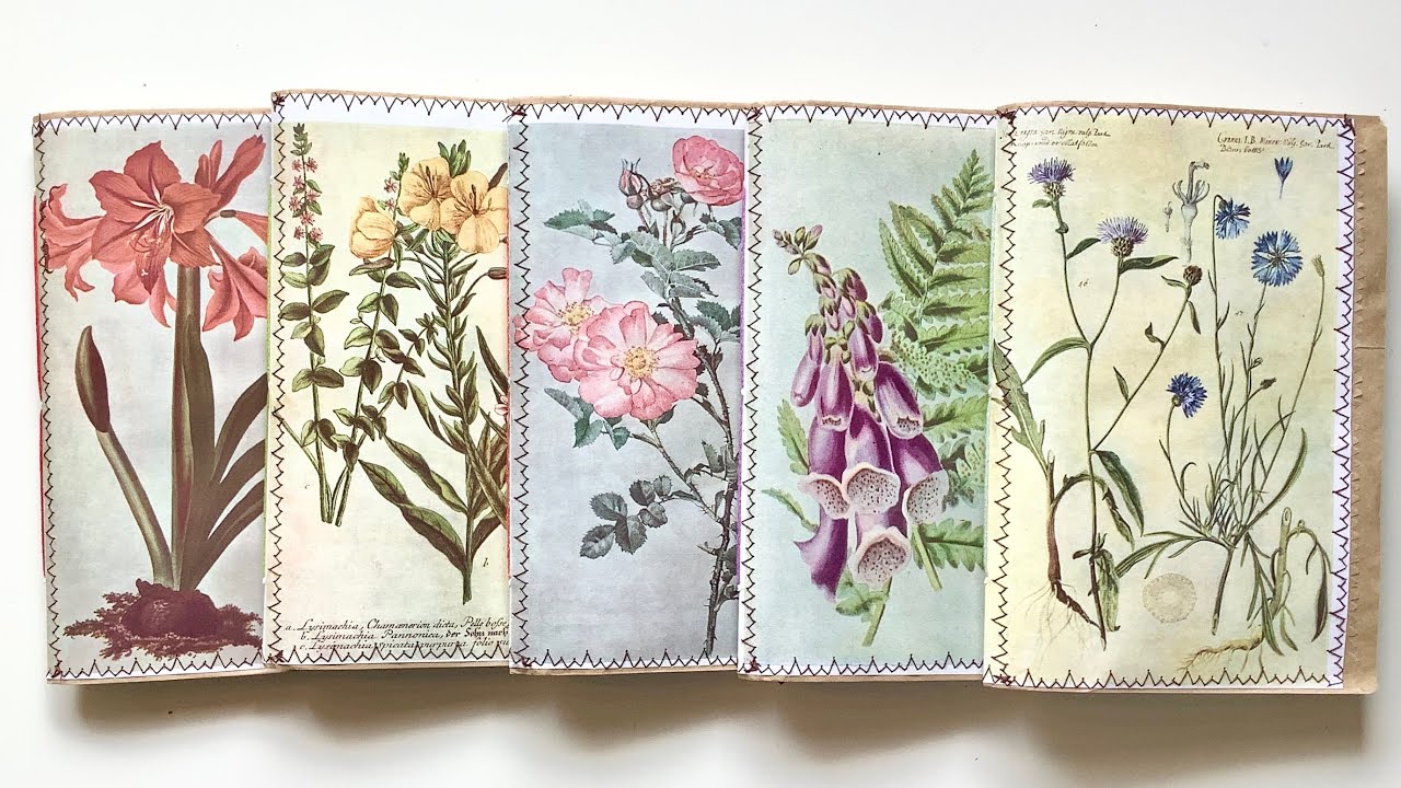 Старинные ботанические журналы