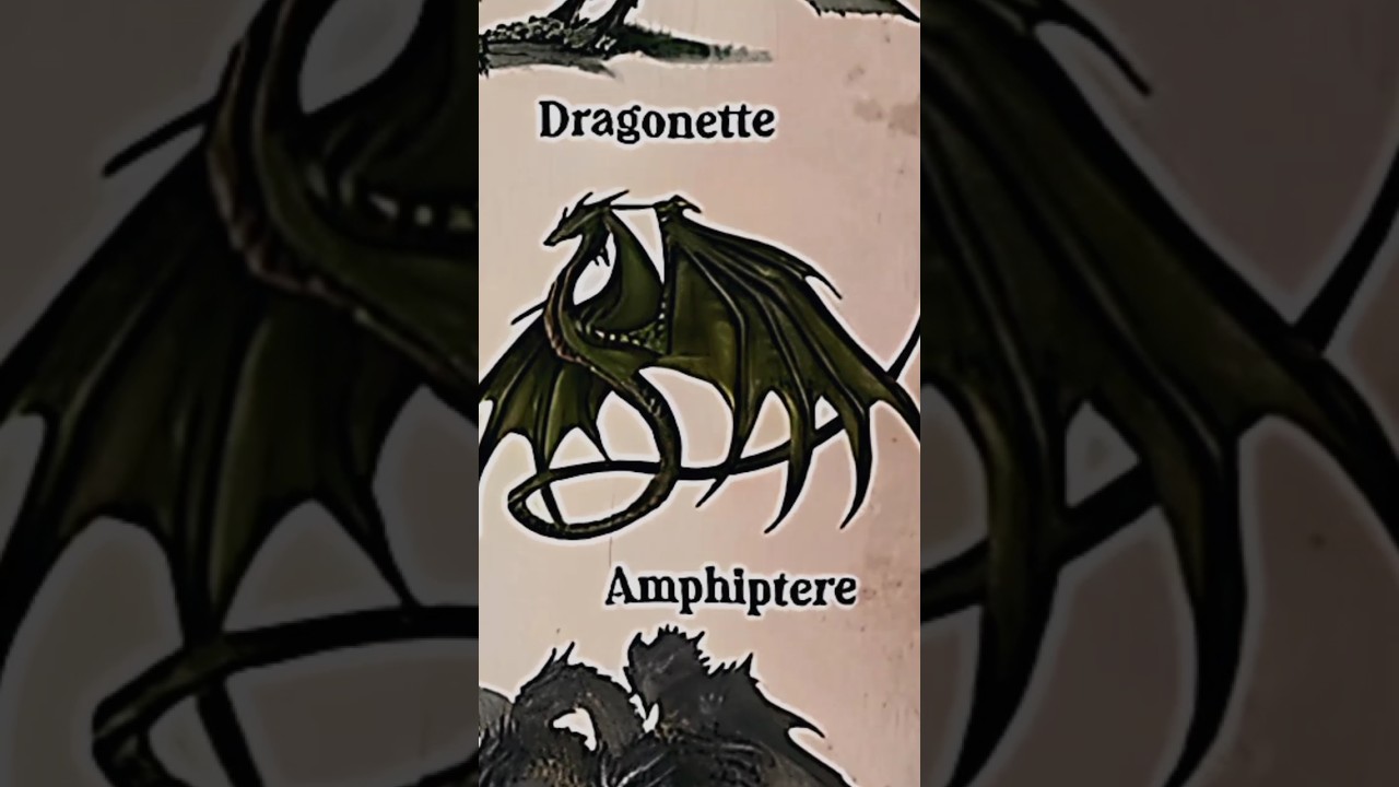 TYPES OF DRAGONS|AMPHIPTERE|PART-10|