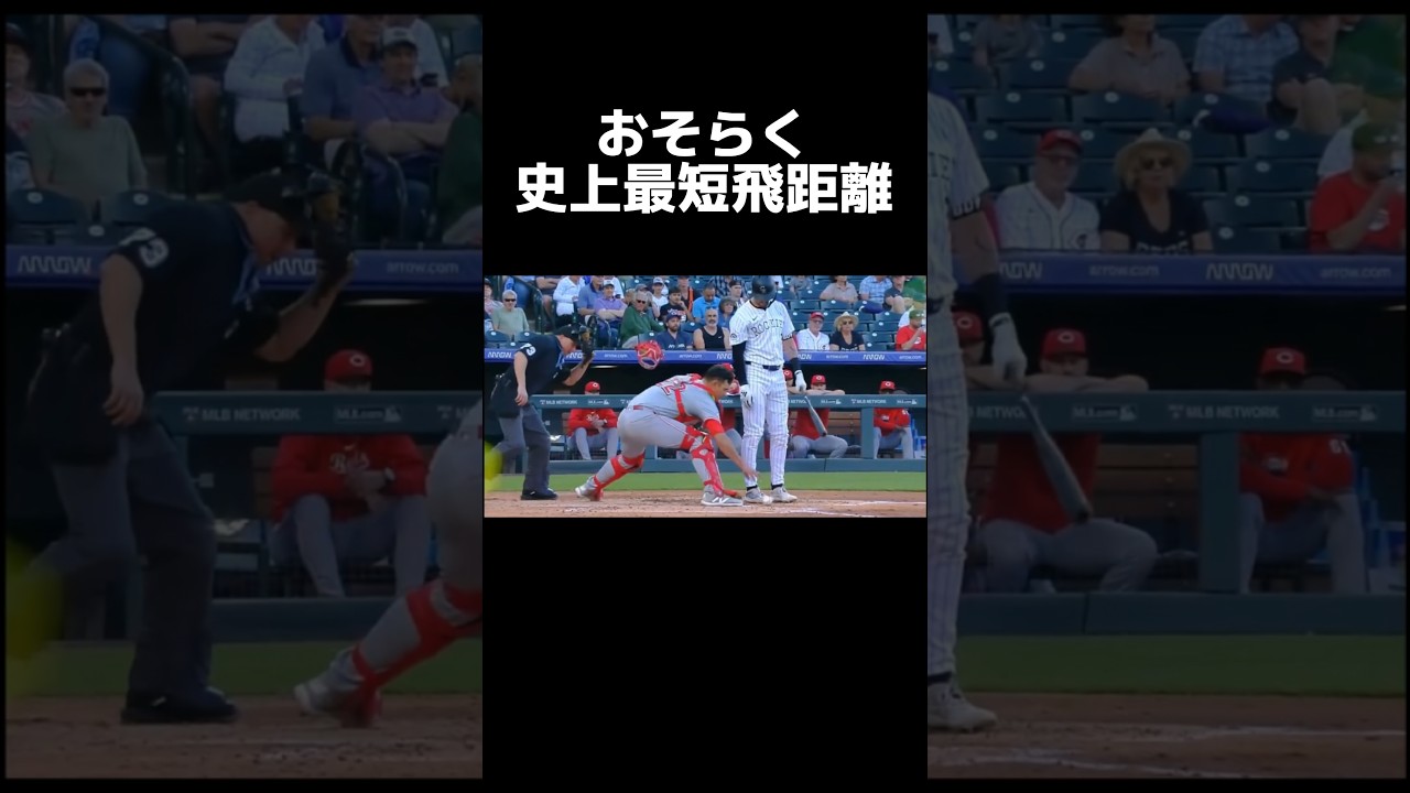 おそらく史上最短飛距離 #プロ野球 #mlb #珍プレー