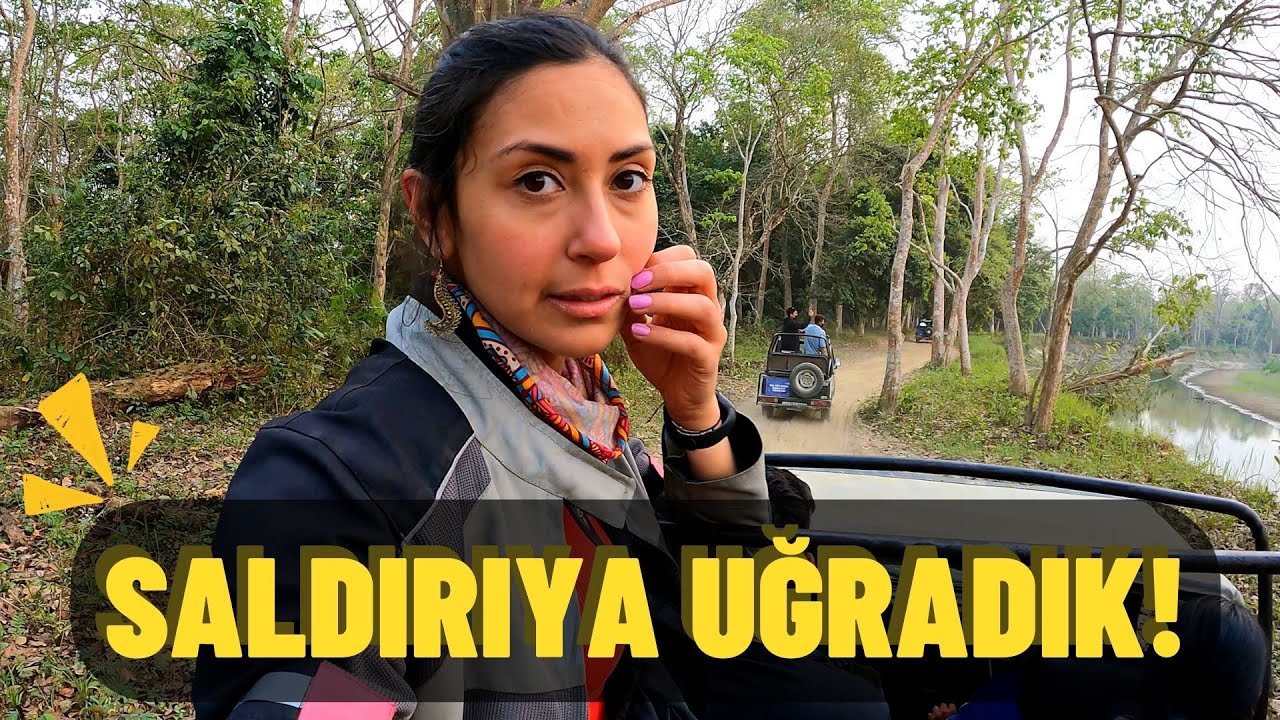 SAFARİDE SALDIRIYA UĞRADIK! Kaziranga National Park / Hindistan Motovog #11