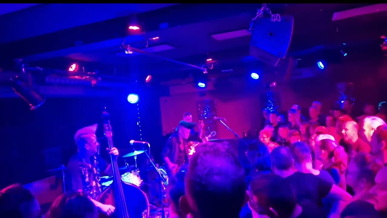 Demented Are Go! - PVC Chair @Golden Nugget, Nürnberg, 15.11.24, live