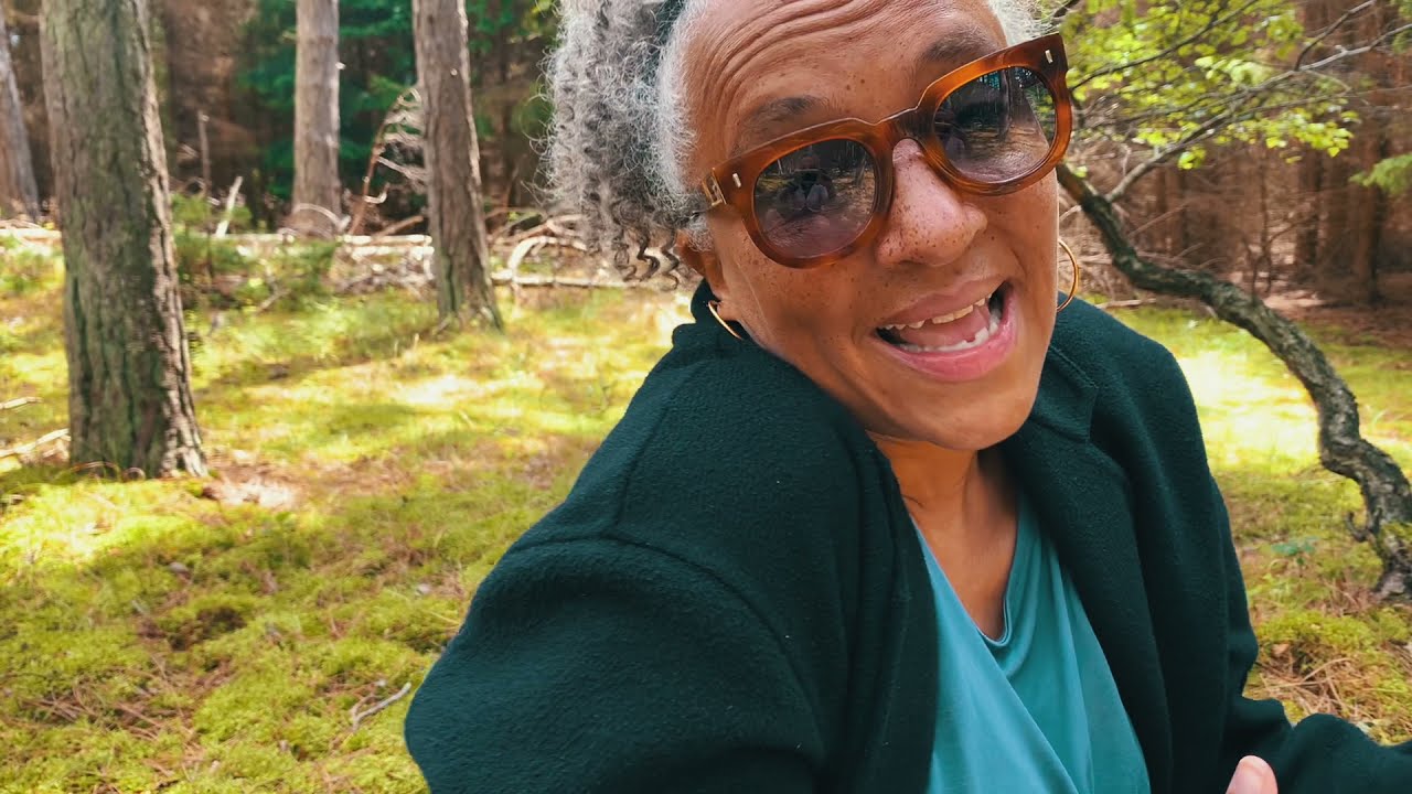 Til vi forsvinder igen