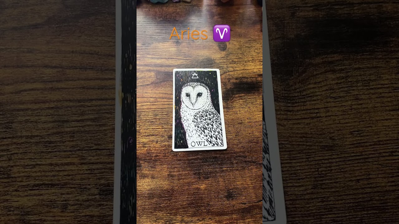 Aries ♈️ Owl 🦉 #aries #ariesreading #ariestarot