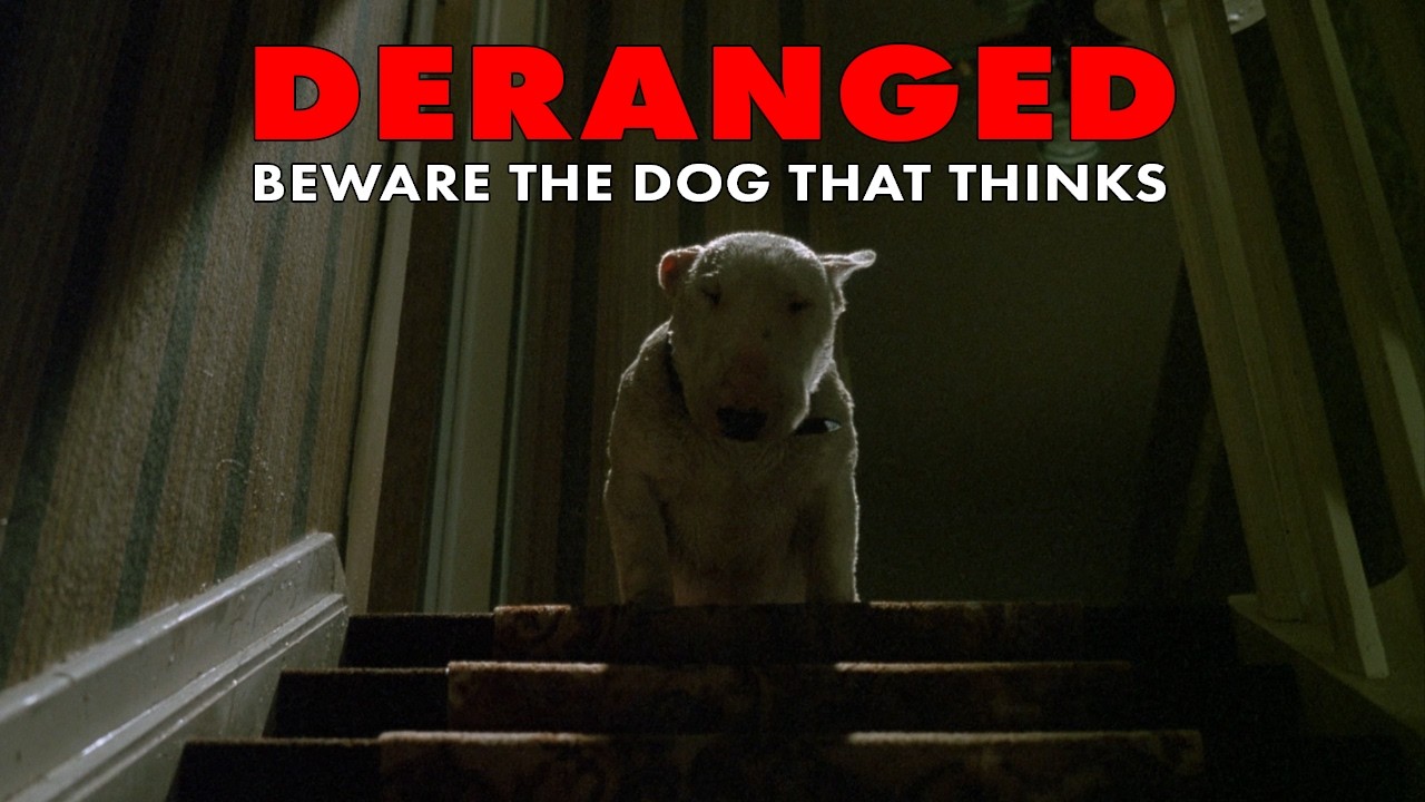 The Dog In This Movie Is A Sociopath