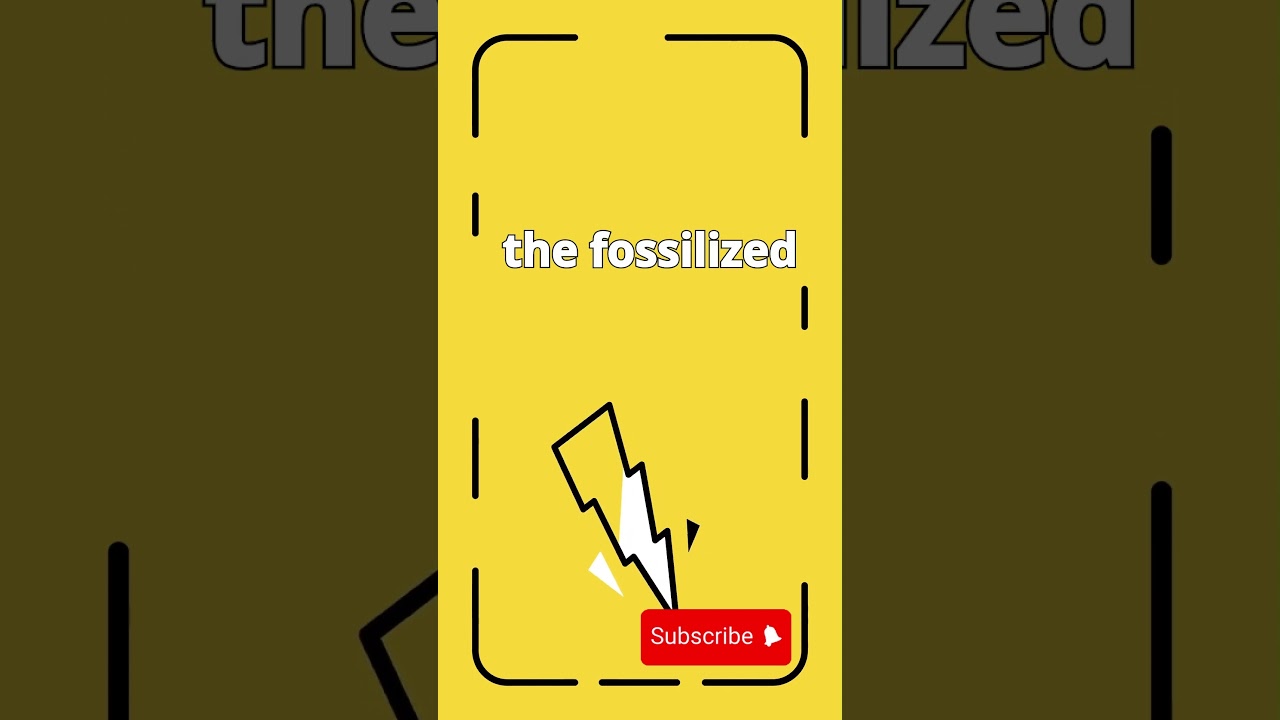 Did You Know | The largest piece of fossilized dinosaur poo #shorts #motivation  #youtubeshorts