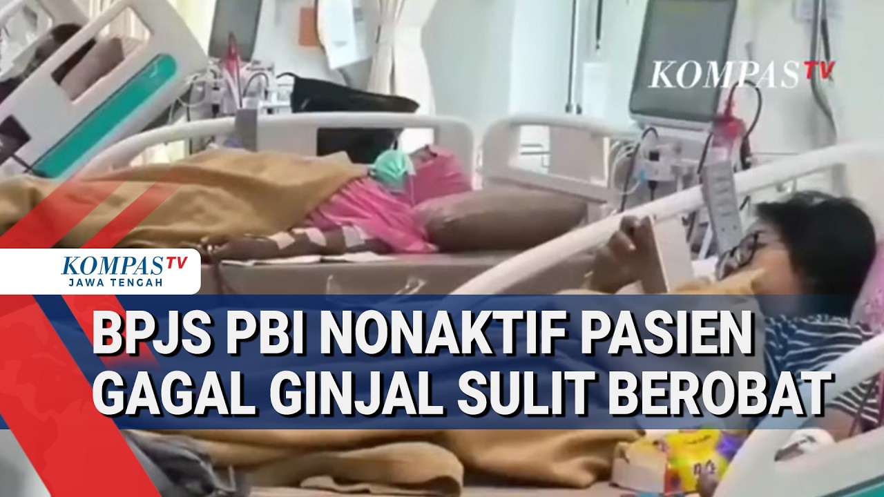 BPJS PBI Nonaktif Pasien Gagal Ginjal Sulit Berobat, KPCDI & DPR Buka Suara