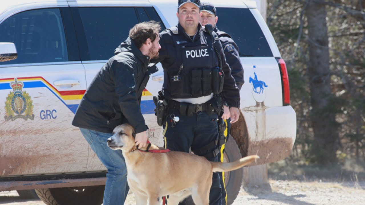 How investigators will process Nova Scotia's 16 crime scenes
