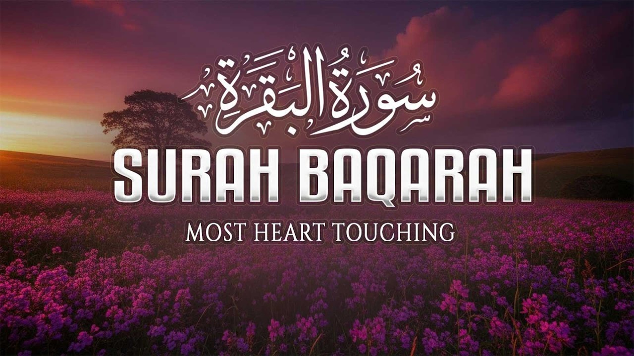 Surah Al-Baqarah سورة البقره | Beautiful Calming Verses That Soothe The Mind | Muhammad Dibirov