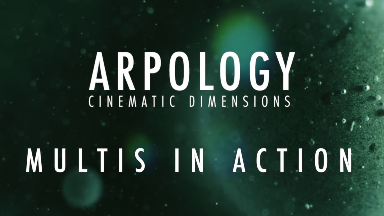 MULTIS IN ACTION: Arpology - Cinematic Dimensions