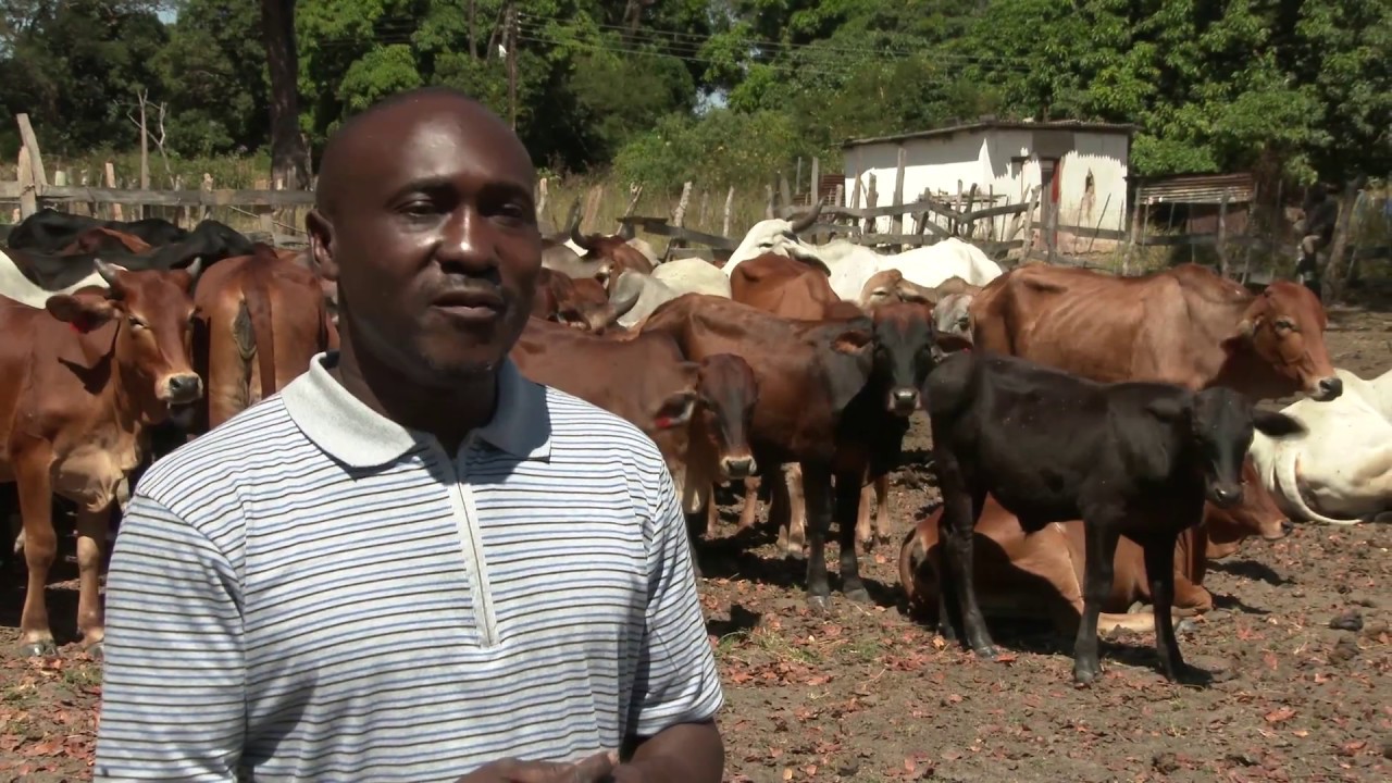 Real Joy in Farming