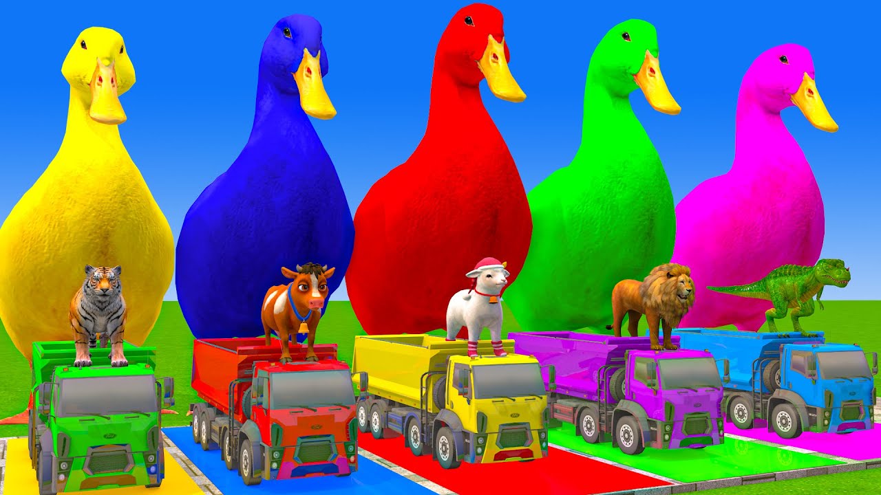 5 Giant Duck Cartoon,Cow,Elephant,Tiger,Lion,Dinosaur,Paint Wild Animals Crossing Fountain Animation