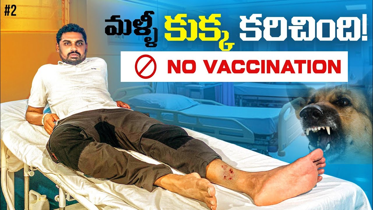 Sad News 😔 | Dog Bite Again Second Time | Livingston Guatemala 🇬🇹 | Uma Telugu Traveller
