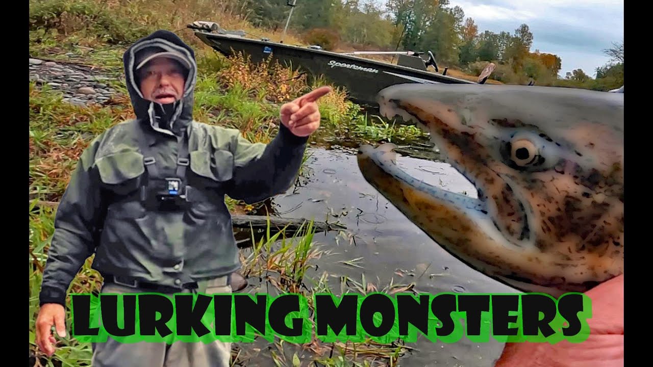 Monster Cowlitz River Fish Just in Time For Halloween