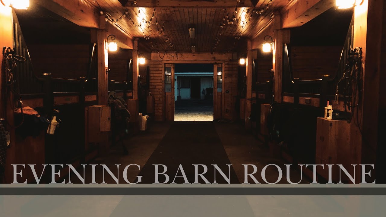 Evening BARN ROUTINE & Feeding the Horses | Another Day in the Life + Barn Chores EQUESTRIAN VLOG