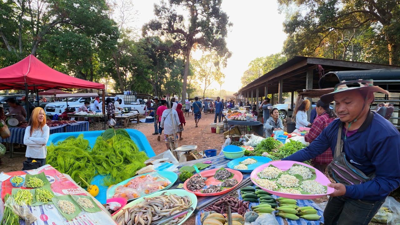 อาหารชั้นสูง ไข่มดแดง แมงจินูน | ตลาดเช้าขุมคำ ต.แก่งเค็ง อ.กุดข้าวปุ้น อุบลราชธานี