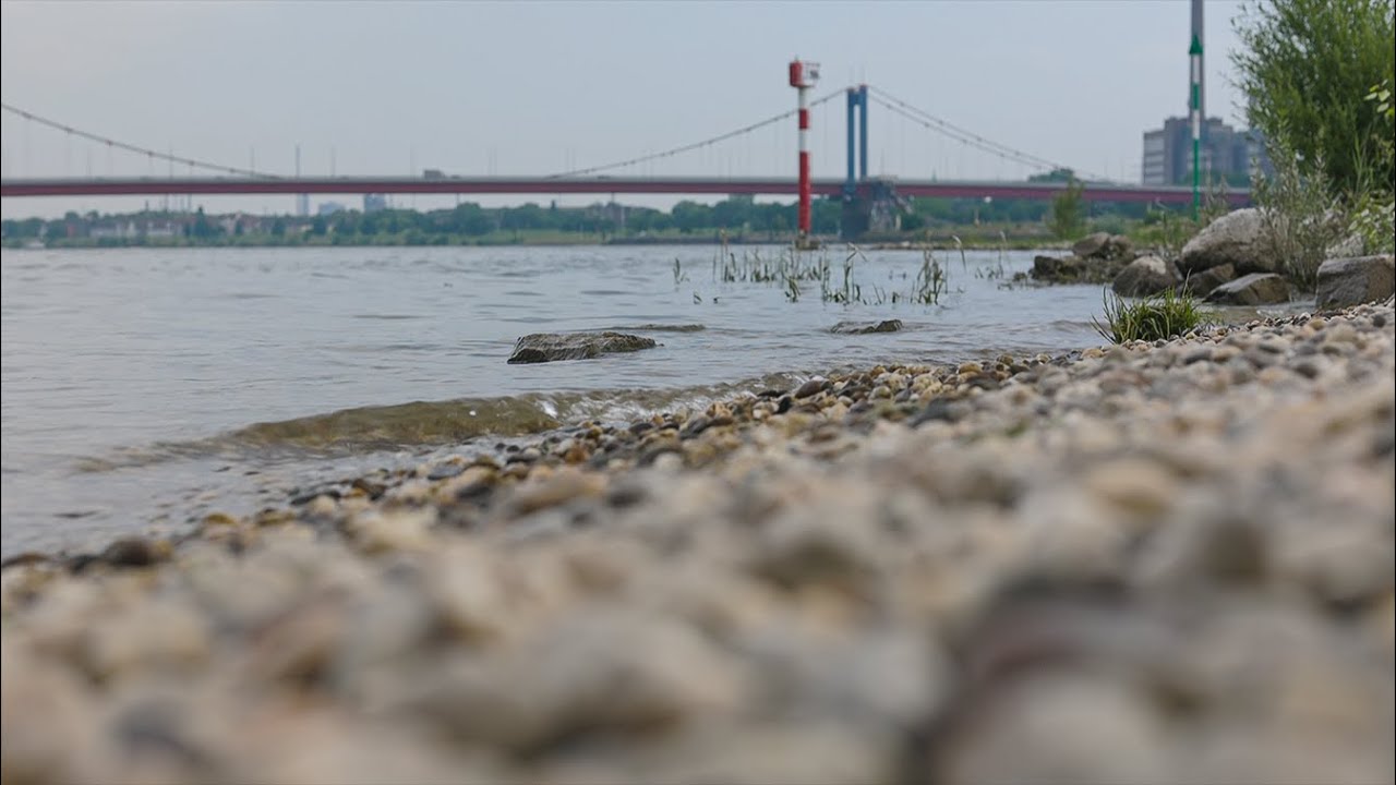 Lebensgefahr beim Schwimmen im Rhein