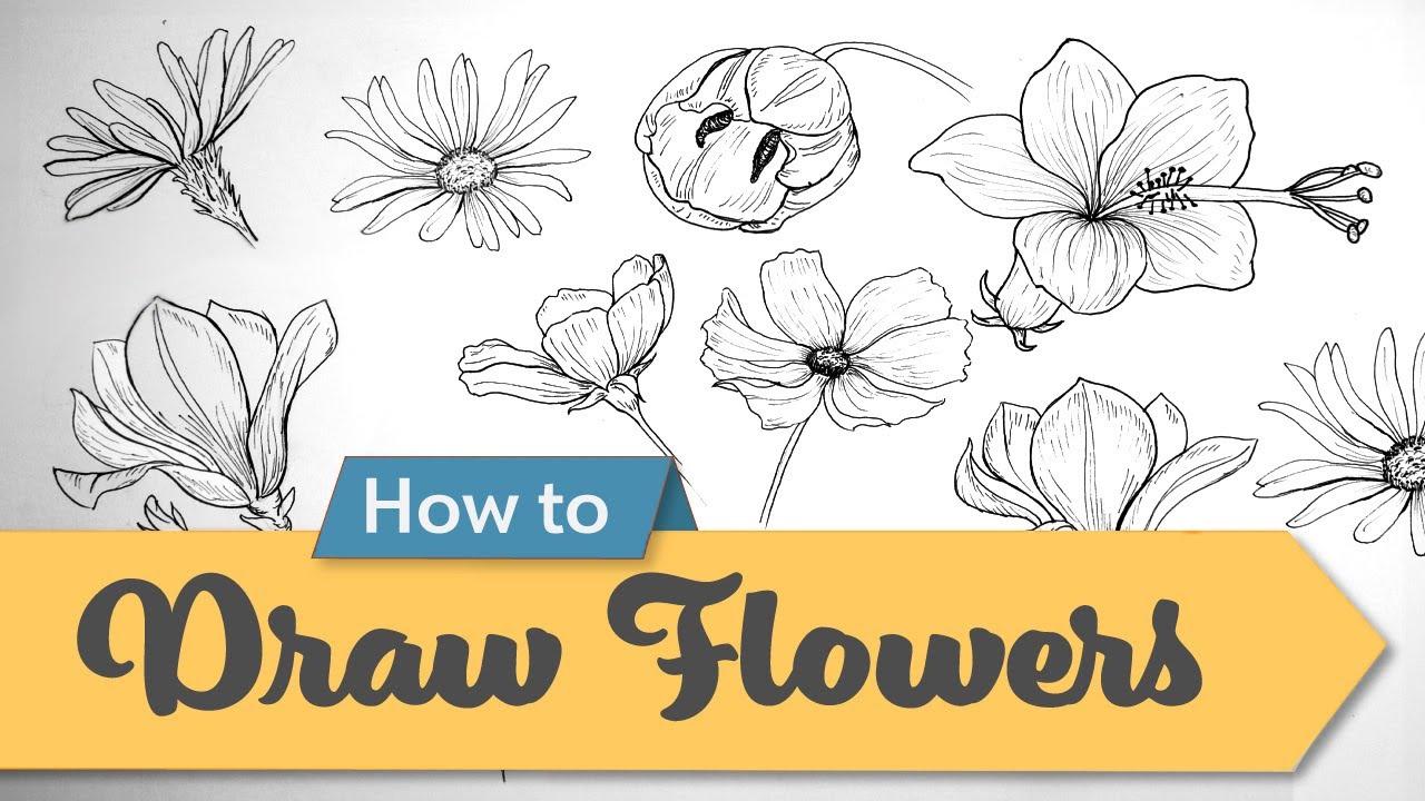 Beginner’s Guide to Drawing to Flowers