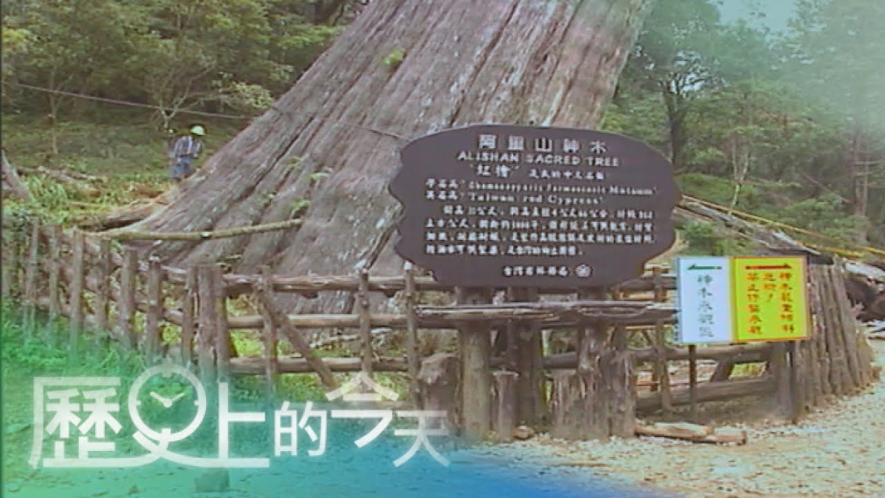 【歷史上的今天-0629】阿里山著名地標 三千年神木化作遺跡