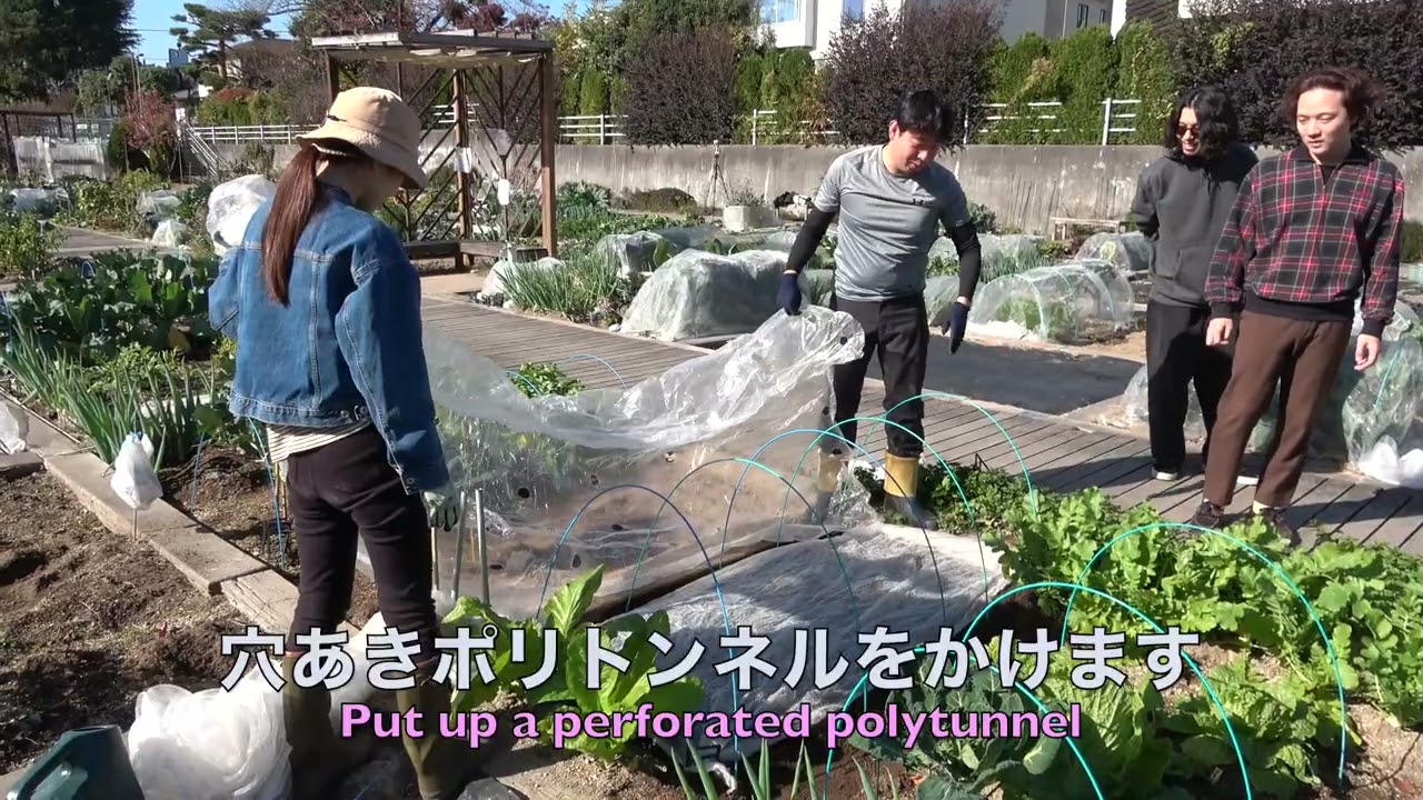 菜園だより251130アグリス成城