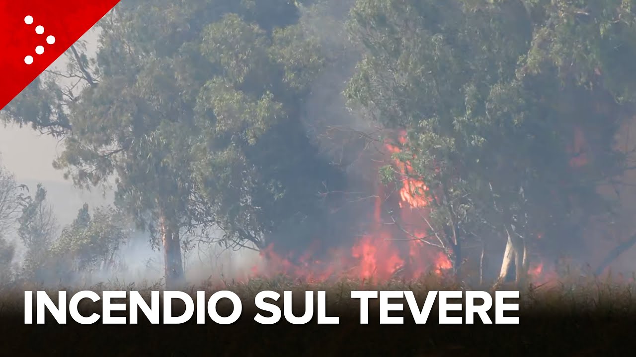 Grosso incendio a Fiumicino , devastato cantiere nautico: le fiamme 