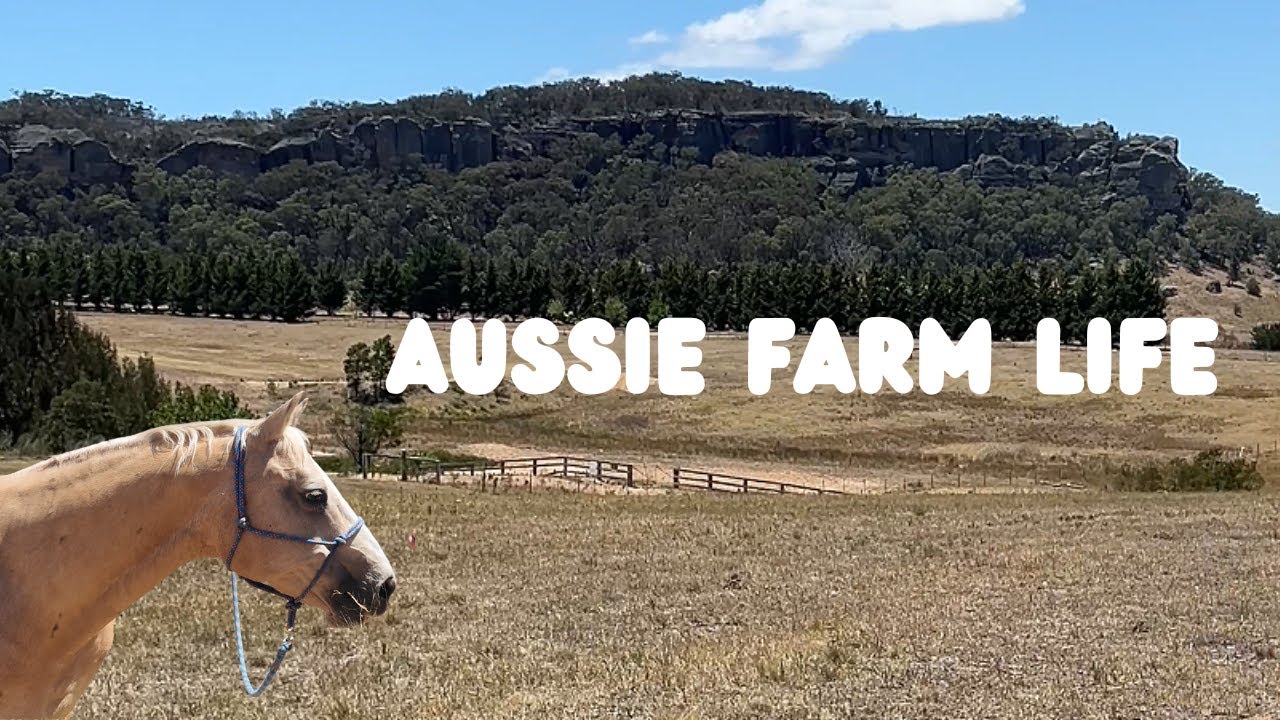 A Simple Day on the Farm | Weather Station, Yabbie Traps & Horse Riding | Ep 6