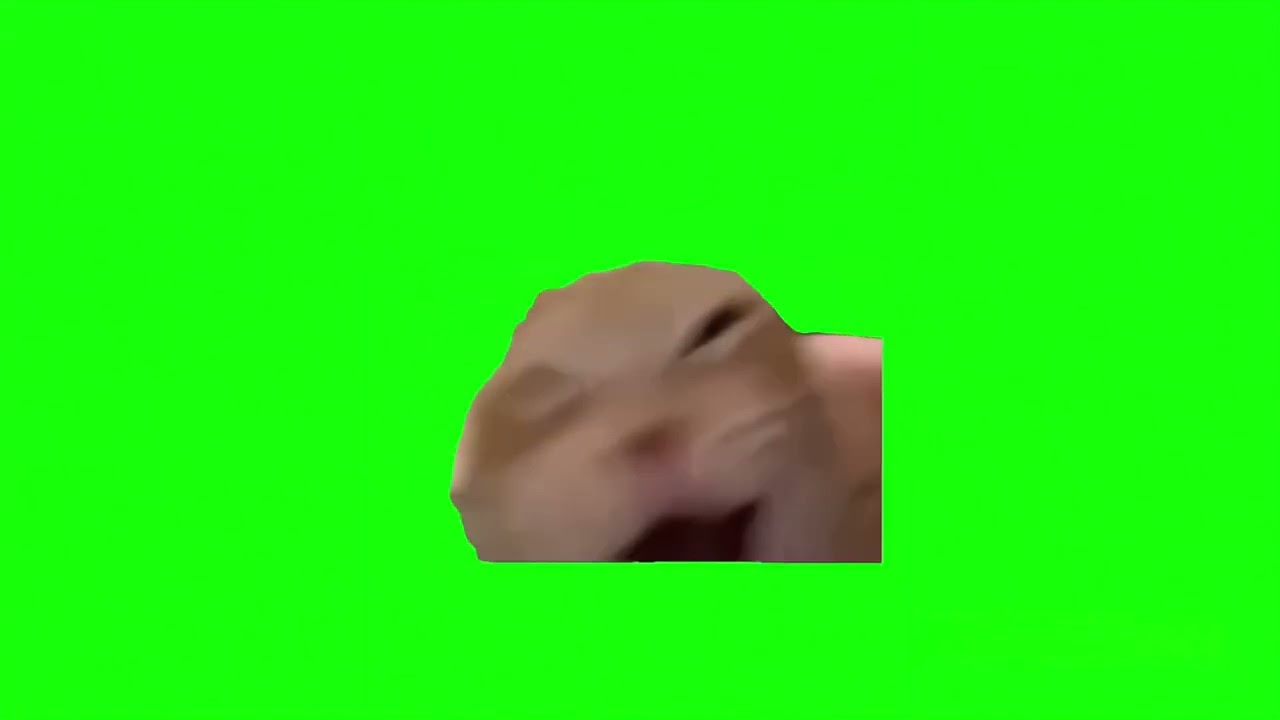 CAT LAUGHING MEME GREEN SCREEN [FREE! NO COPYRIGHT] 🔥