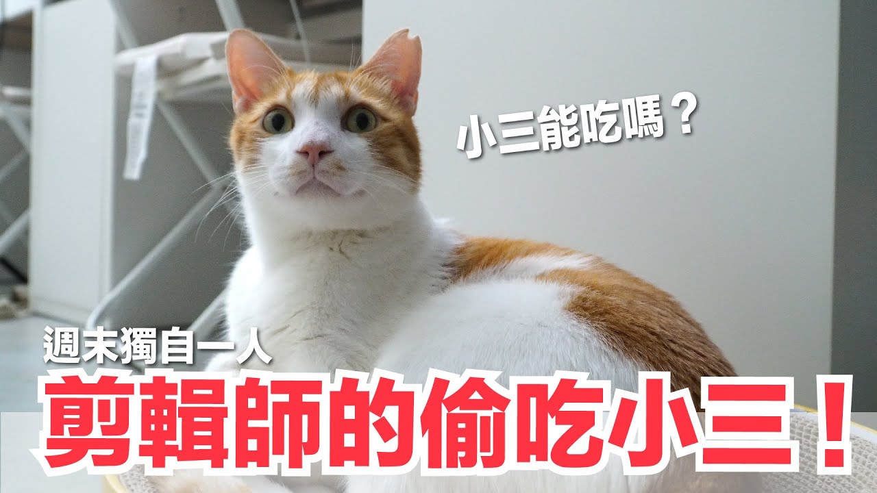 【好味小姐】果然我只是幌子，蛋捲才是真愛！｜好味貓日常EP77