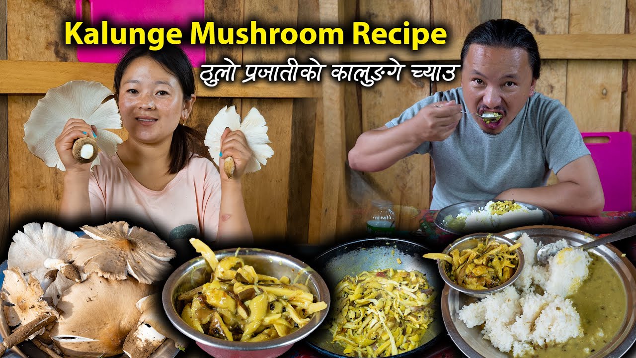 Big size KALUNGE Mushroom Recipe with Rice || Mushroom Recipe cooking & eating | Nepali Village vlog