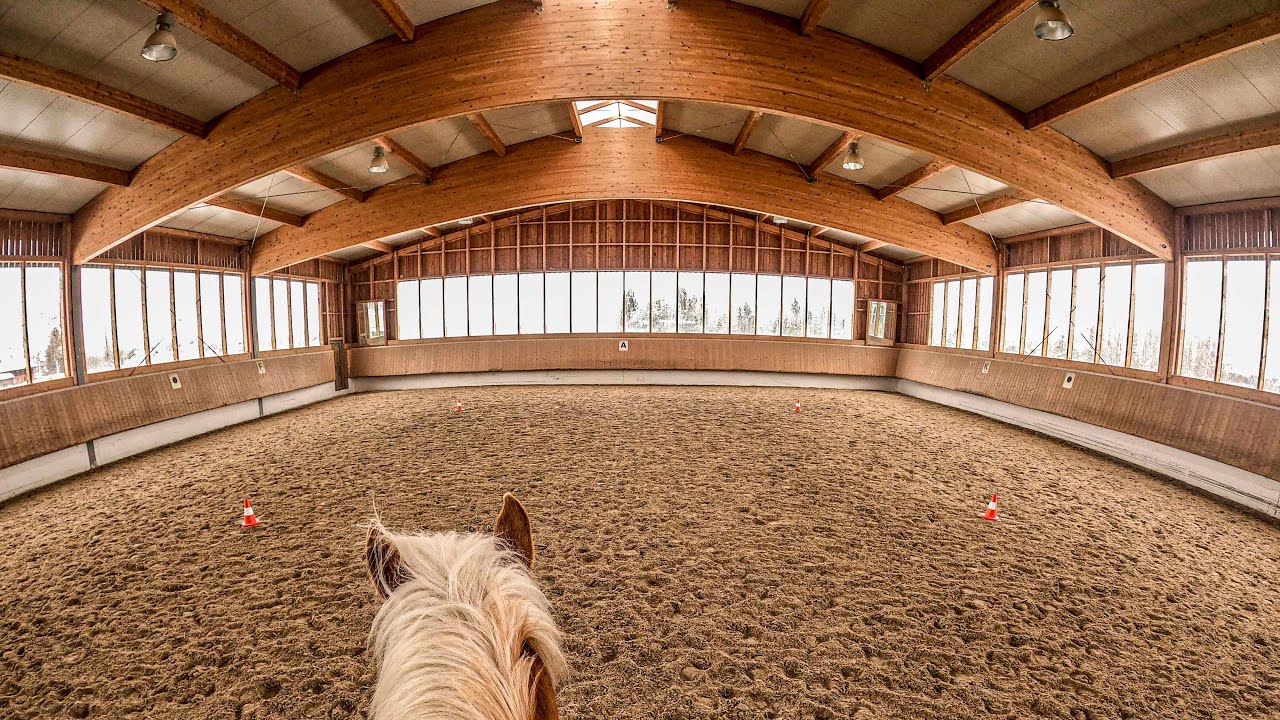 Reittraining Kleeblatt, Aufgabe 1
