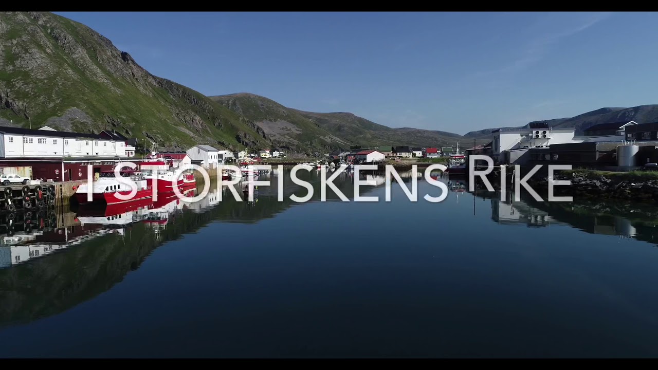 Sørvær i sommerdrakt 🤗