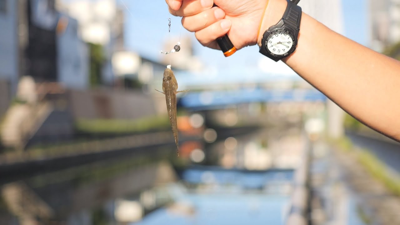 【ハゼ師】中野浩勝さんのハゼ釣り道具と考え方