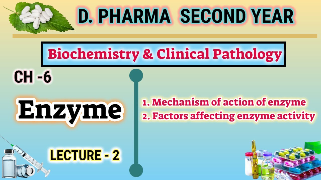 Mechanism of action of enzyme | Factors affecting enzyme activity | CH-6 | L-2 | D.Pharm second year
