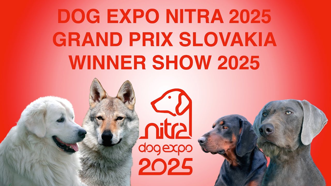 DOG EXPO NITRA 2025 Saturday